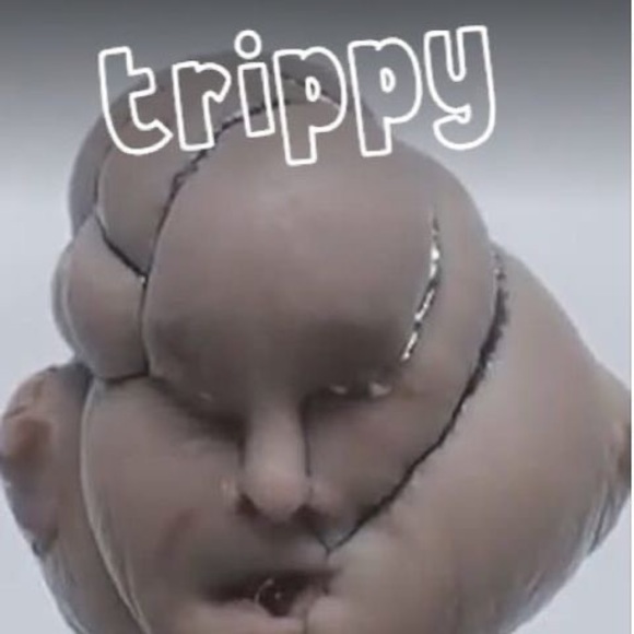 tripp__